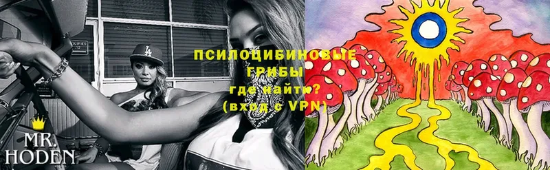 Галлюциногенные грибы Cubensis  купить наркотик  shop клад  Вуктыл 